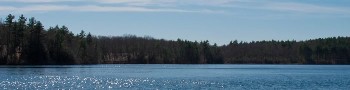 scenery walden pond small